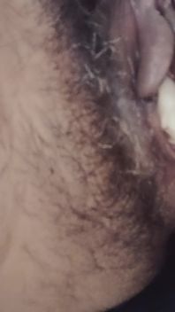 Peludo