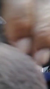 Sexy péro