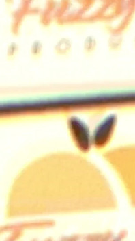 Lucky Anne Stars in Fort Lauderdale Lust by Fuzzy Peach Productions