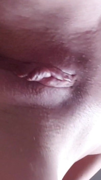 My Vids