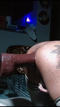 Doggy Style Fuck Machine