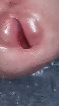 The Dick Growls at Its Owner