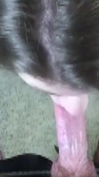Master of porn: Im Chat Kennengelernt