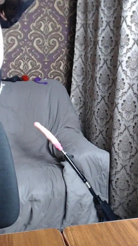 Plug anal torride pour anus