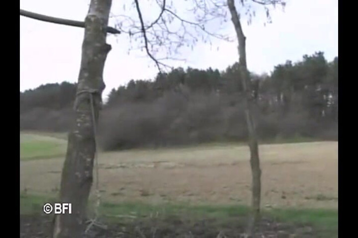 Merciless Deep Fuck: Pulchna Włoszka zostaje wyruchana przez wielu mężczyzn.