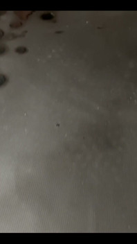 How Far Can You Shoot?