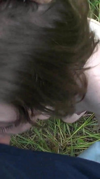Ins gesicht im wald HD