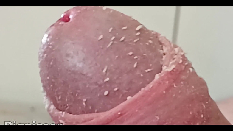 Big Pisser: Montage dari closeup kontol smegmaku