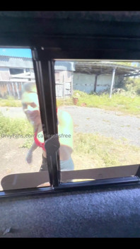 4162381751.mp4