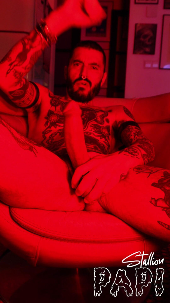 Stallion papi: Ballstretched