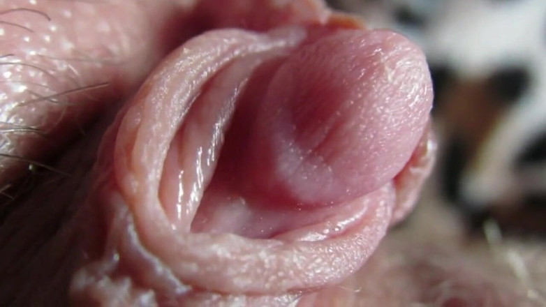 Cuteblonde666: Kompilasi klitoris besar 2