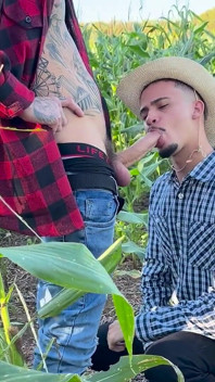I Got Lost in the Cornfield and Needed Help From the Hot Young Farmer.
