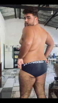 Solo Bear