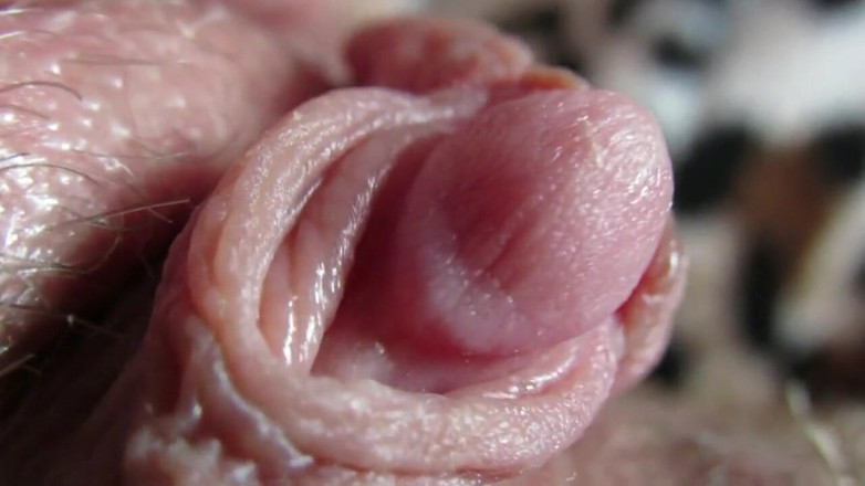 Cuteblonde666: Big clit compilation 2