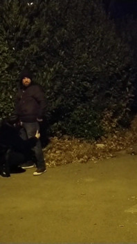 Sie Bat Mich, Das Auto Zu Stoppen, Damit Sie Mich Lutschen Konnte