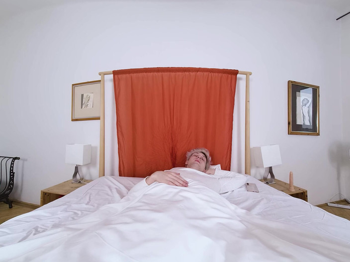 Virtual Real Gay: Hard Alarm