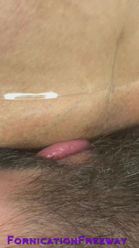 Eating Pussy and Ass with the Queening Chair | Fornicationfreeway