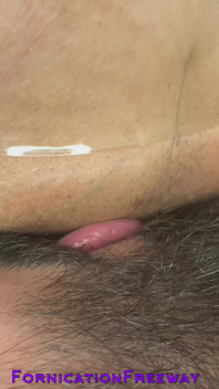 Eating Pussy and Ass with the Queening Chair | Fornicationfreeway