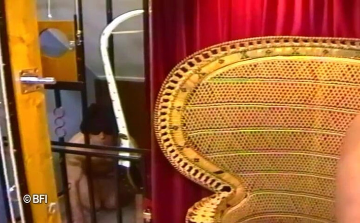 Art of Bondage: Wanita burung surga