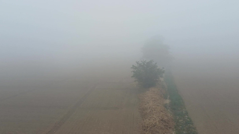 Austin Rose: Il Papà Indiano Si Toglie I Vestiti Nella Nebbia Invernale...