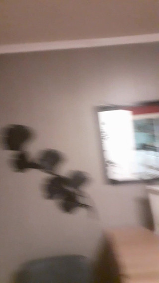 tammara big: Ce am făcut