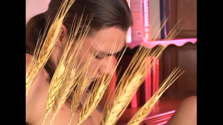 Planet Shemale: Perjalanan dubur Susanna yang keras