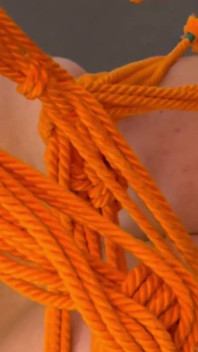 Shibari Bondage: Mouth & Ass Domination