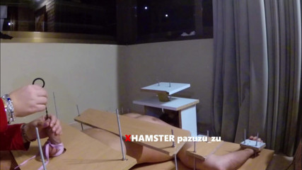 Pazuzu_zu: Amateur CFNM femdom cbt handjob with tied cock. Ruined orgasm