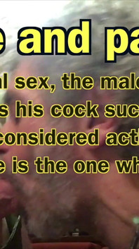 Gayex Book - 1 boquetes