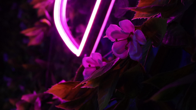 Sarahinkzed: Neon Cat