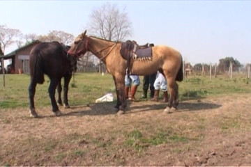 Gay 4 Pleasure: Cowboys fuck guy in threesome