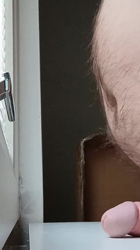 Fensterfick