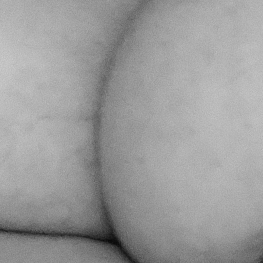 Faphouse