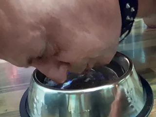 Его безумие