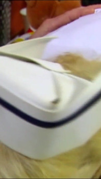 Sexy Blonde Nurse Gets Fucked in Hospital by Her Big-dicked Patient