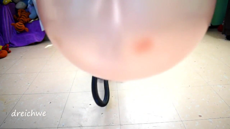 Dreichwe: Belon berehat dengan pantat dan kaki