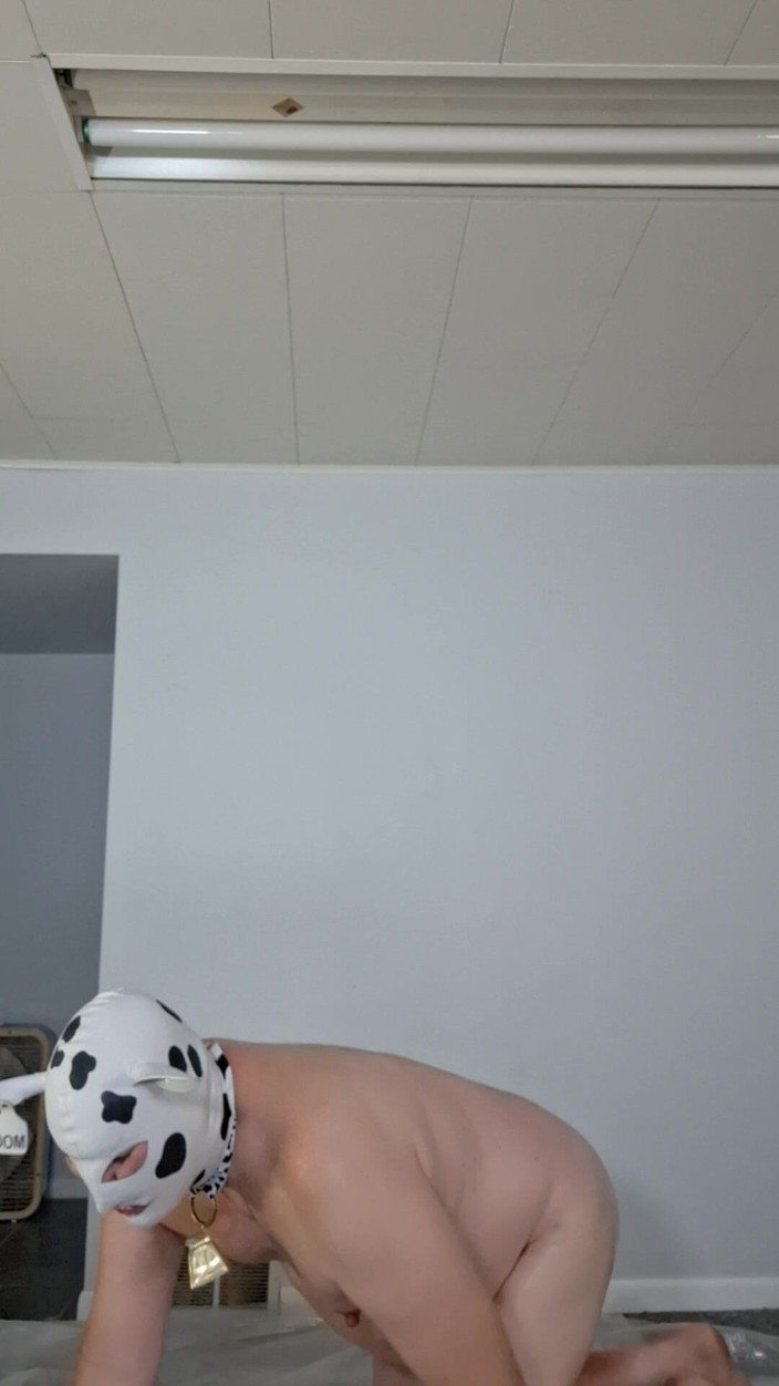 Victoria Lecherri: Engrasando Tu Mascota Hucow!