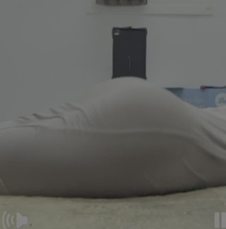 VerticalArgument4: Keldai ini