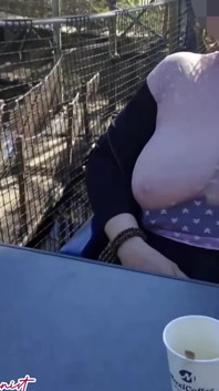 Small Café on the Terrace with a Transparent Top and a Mini Skirt No Panties