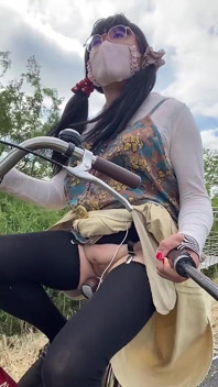 N° 241, vélo avec ma chatte, écran complet