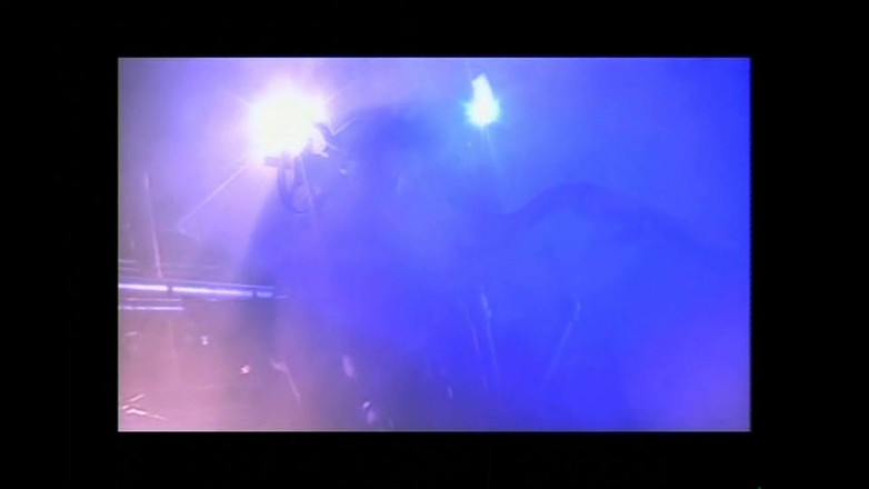 FM Video films: La Venus blanca en nuestros orgasmos vol.3