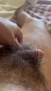 My Penis