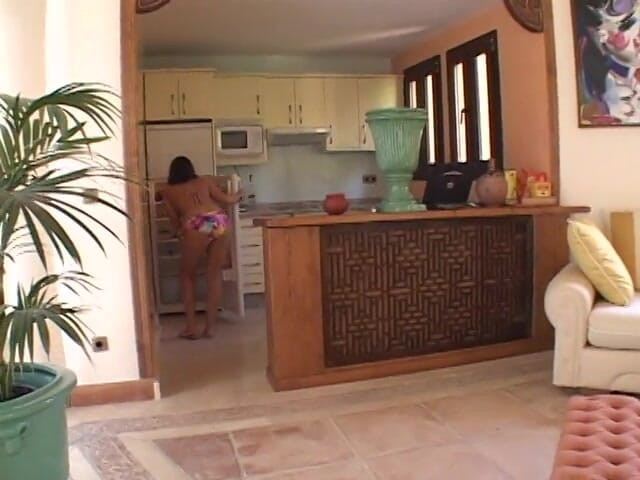 Point of View Productions: Procace ragazza bruna viene scopata in punto di vista