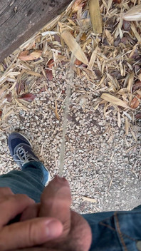 Peeing in the Garden