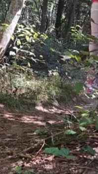 Outdoor Exhibition In The Woods Pink Heels White Stockings And Latex Mini Skirt