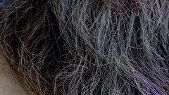 JJ7779: Edging session 7