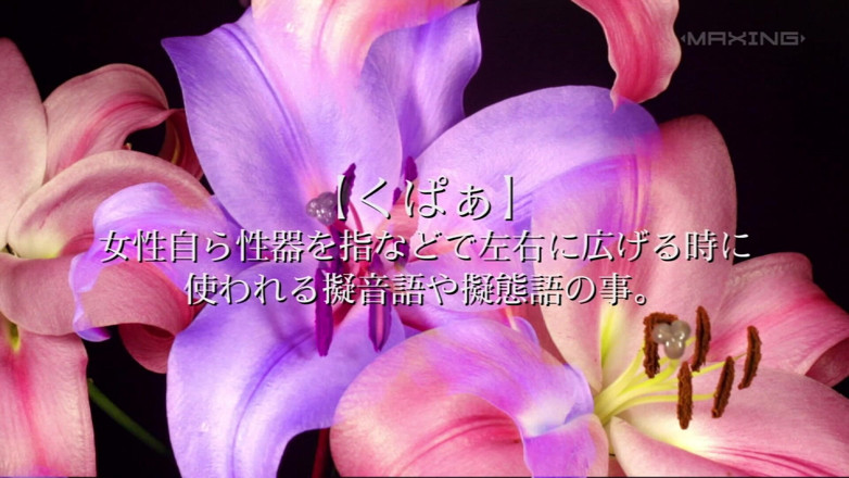 Raptor Inc: Nozomi Aso - Uncut Selection Vol. 4