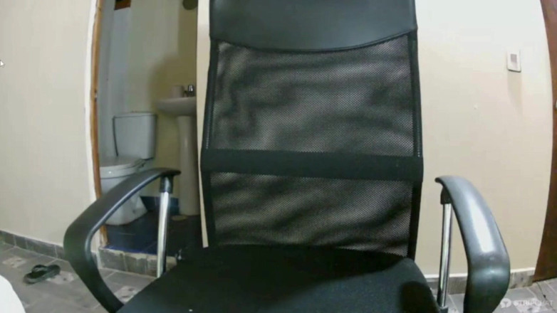 Nathalieprez4: 웹캠 플랫폼에서의 맞춤형 영상 스트리밍