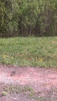 Bodysuit dan sepatu hak tinggi - pakaian untuk berjalan di tempat parkir