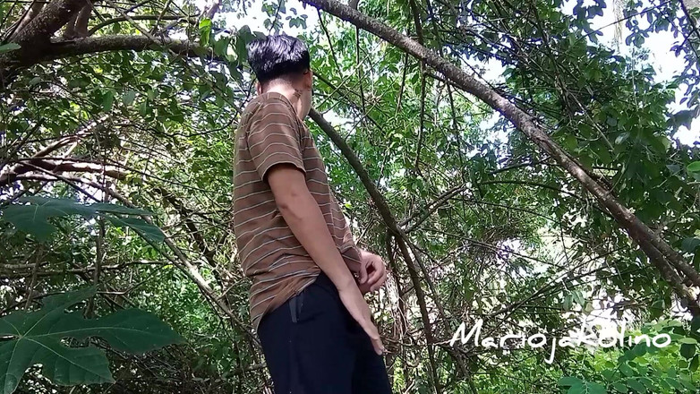 Mariojakolino: Doprovodte mě k masturbaci v džungli, najdeme banánovník, který by...